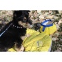 Eclipse Yellow Sleeping Mat - Eclipse Yellow Compressible Waterproof Dog Sleeping Mat