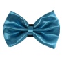 1 - PR3000|Pets Ribbons - 4"