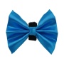 1 - PR3000|Pets Ribbons - 4"
