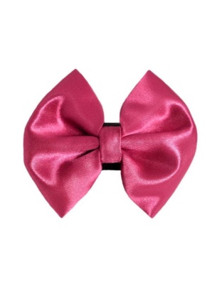 2 - PR3000|Pets Ribbons - 4"