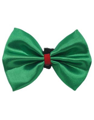 Green - PR3000X|Pets Ribbons - 2"