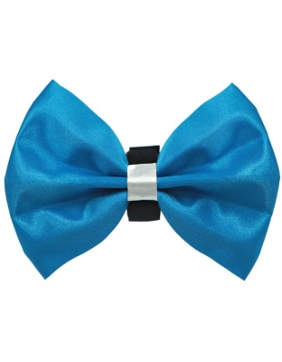 1 - PR3001|Pets Ribbons - 2"