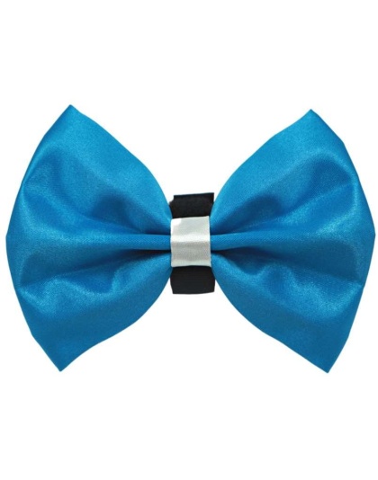 1 - PR3001|Pets Ribbons - 2"