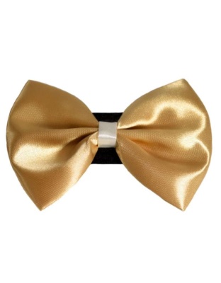 3 - PR3001|Pets Ribbons - 6"