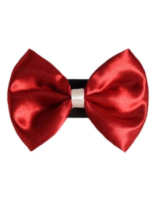 7 - PR3001|Pets Ribbons - 6"