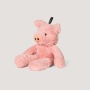 NANDOG My BFF Pinky The Pig