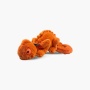 NANDOG My BFF Chameleon Plush Dog Toy - NANDOG My BFF Plush Toy