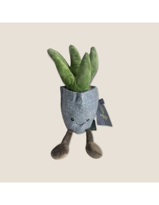 NANDOG My BFF Succulent Pot
