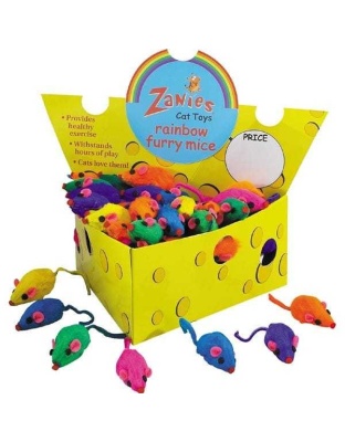 ZA Cheese Wedge Displ Box 60 Fur Rnbw