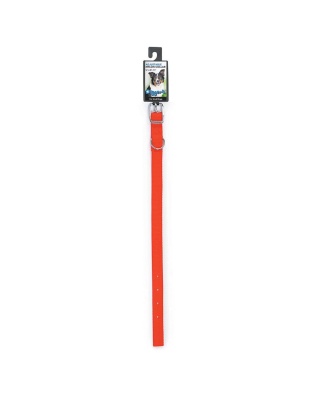 DGR 5/8in Nylon Collar 16in Neon Org