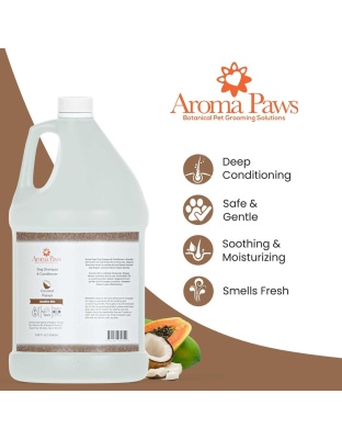 Gallon Shampoo Coconut Papaya