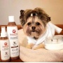 4.5 Oz. Dog Coat Spray Coconut Papaya