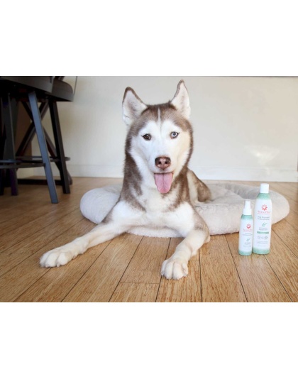 4.5 Oz. Dog Coat Spray Eucalyptus Peppermint