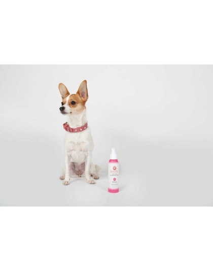 4.5 Oz. Dog Coat Spray Geranium Sage