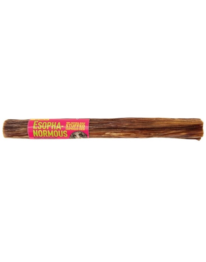 Etta Says! Esopha-normous Bully Stuffed Esophagus Chew 10in 18ct