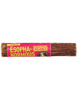 Etta Says! Esopha-normous Bully Stuffed Esophagus Chew Indiv. - 5"