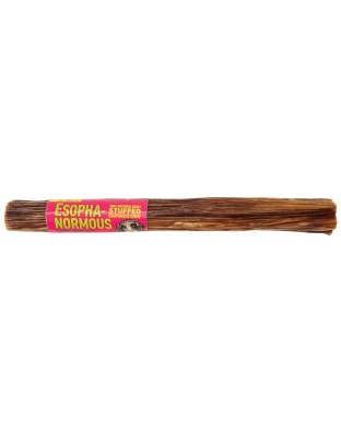Etta Says! Esopha-normous Bully Stuffed Esophagus Chew Indiv.  - 10"