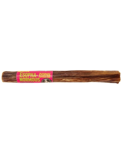 Etta Says! Esopha-normous Bully Stuffed Esophagus Chew Indiv.  - 10"