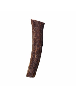 KONG(R) Wild Antler Whole  - Large