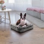 Midnight Frost - Rectangle Bed  SM - Midnight Frost - SM- 24" x 24"
