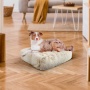 Blondie - Rectangle Bed MD - Blondie - MD - 32" x 36"