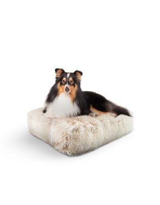 Blondie - Rectangle Bed SM - Blondie - SM- 24" x 24"