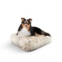 Blondie - Rectangle Bed SM - Blondie - SM- 24" x 24"
