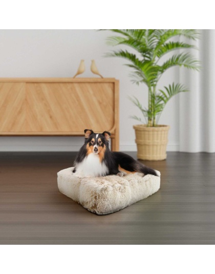 Blondie - Rectangle Bed SM - Blondie - SM- 24" x 24"