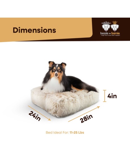 Blondie - Rectangle Bed SM - Blondie - SM- 24" x 24"