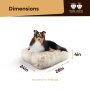 Blondie - Rectangle Bed SM - Blondie - SM- 24" x 24"