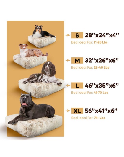 Blondie - Rectangle Bed SM - Blondie - SM- 24" x 24"