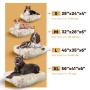 Blondie - Rectangle Bed SM - Blondie - SM- 24" x 24"