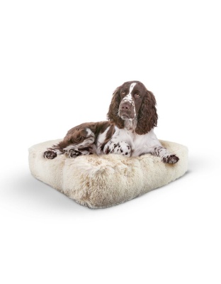 Blondie - Rectangle Bed LG - Blondie - LG - 46" x 35"