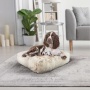 Blondie - Rectangle Bed LG - Blondie - LG - 46" x 35"