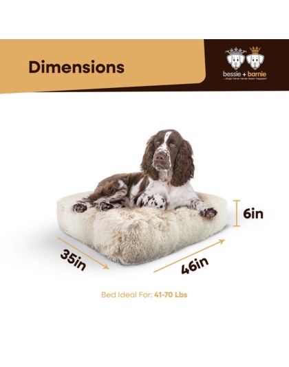 Blondie - Rectangle Bed LG - Blondie - LG - 46" x 35"