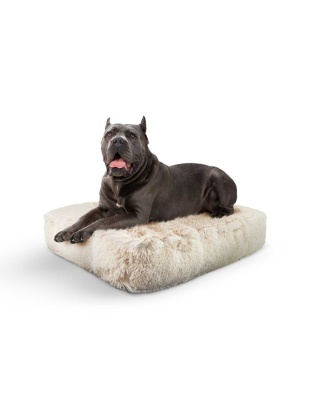 Blondie - Rectangle Bed  XL - Blondie - XL - 56" x 41"