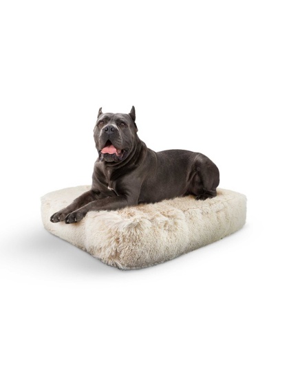 Blondie - Rectangle Bed  XL - Blondie - XL - 56" x 41"