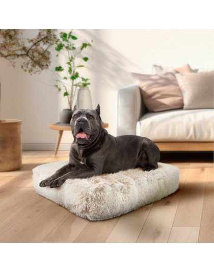 Blondie - Rectangle Bed  XL - Blondie - XL - 56" x 41"