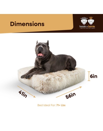 Blondie - Rectangle Bed  XL - Blondie - XL - 56" x 41"