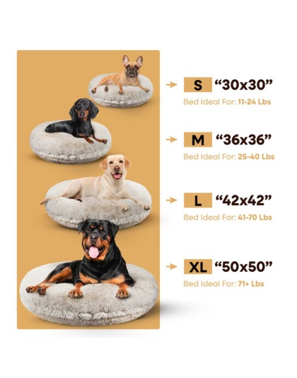 Blondie - Bagel Bed LG - Blondie - LG - 42"