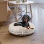 Blondie - Bagel Bed MD - Blondie - MD - 36"