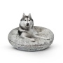 Frosted Snow - Bagel Bed LG - Frosted Snow - LG - 42"