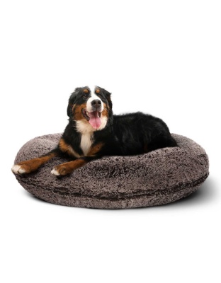 Frosted Willow - Bagel Bed XL - Frosted Willow - XL - 50"