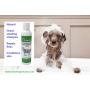 Healers Tea Tree Oil Conditioning Shampoo for Pets (8oz)