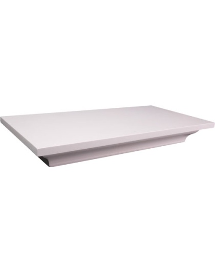 LOCKDOWN IN PLAIN SIGHT SHELF