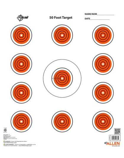 ALLEN EZ AIM 11 SPOT TARGET