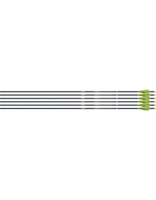 EASTON 4MM FMJ MATCH GRADE 300