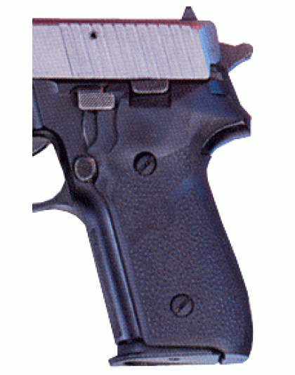 HOGUE GRIPS SIGARMS P228 &