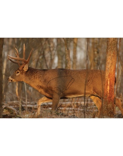 B/C TARGET EZE-SCORER 23"X35"