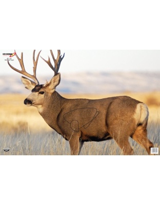 B/C TARGET EZE-SCORER 23"X35"
